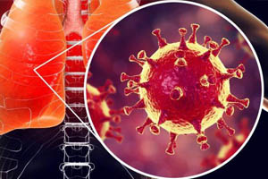 Влияние уровня андрогенов на тяжесть новой коронавирусной инфекции