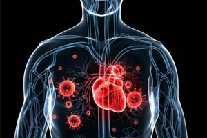 Морфология патологических процессов при COVID-19 в сердце и легких: данные макроскопического исследования
